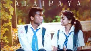 TeeJay - ALAIPAYA
