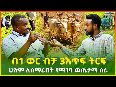 ቪዲዮ: በኖቮሲቢርስክ ያለ ብዙ ግርግር እና ጥያቄዎች ከየት ማግኘት ይቻላል?