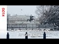 DC Vlog - A walk to the White House in the snow followed by near death sledding with my kids.