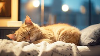 EXTREMELY Soothing Cat Therapy Music - Relax Your Cat! Cat Music - Music to Help Your Kitty Sleep