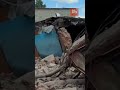 ПОЧУЙТЕ правду! ЯКОЮ була МЕТА удару "ОРЄШНІКА" по Білій Церкві?
