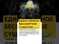 ЕДИНСТВЕННОЕ БЕССМЕРТНОЕ СУЩЕСТВО! 🌊🧪 #интересно #природа #факты #шок #организм #медузы