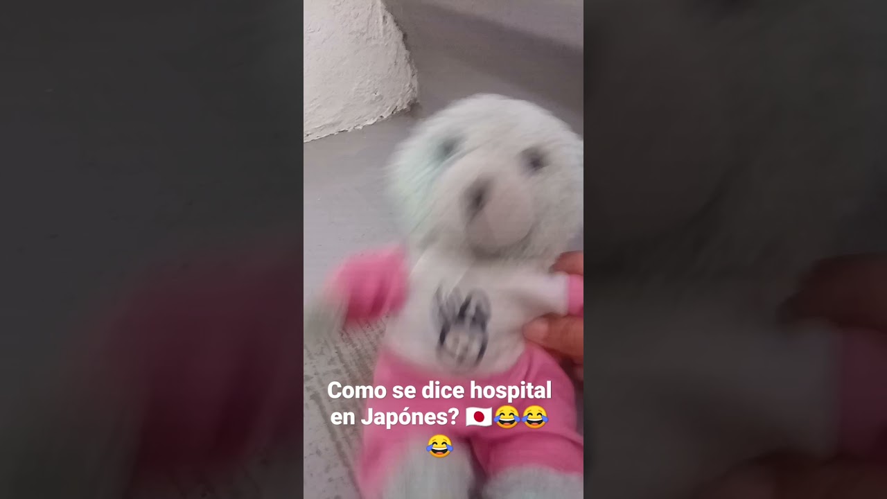 como se dice hospital en japones? 🇯🇵😂 YouTube