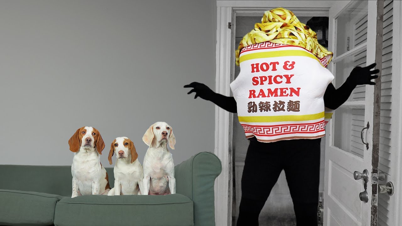 Dogs vs GIANT Noodle Cup: Funny Dogs Maymo, Potpie & Cute Puppy Indie Eat Noodles!