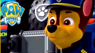 Paw Patrol Academy Game /Paw Patrol Cartoon English - Paw Patrol full Episodes HD Paw Patrol Academy Game /Paw Patrol Cartoon English - Paw Patrol full Episodes HD
