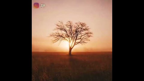 تلاوة نادرة للشيخ محمد ايوب (رحمه الله)