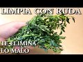 LIMPIA CON RUDA Elimina El Mal, Envidias, Mala suerte, Bloqueos, Mejora tu Suerte, Ruda Proteccion