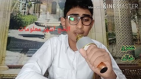 الحج اشهر معلومات| تلاوة هادئة من سورة البقرة| ايات الحج بصوت القارئ عمرو خالد
