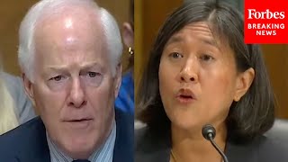 'No, You Don't Need To Explain Again-You Need To Answer My Question': Cornyn Brutally Grills Tai