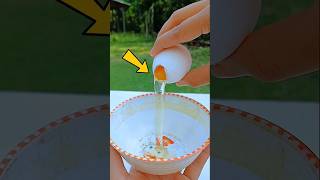 lce Flower in Egg 🥚 Real or Fake?#short#ytshorts