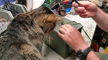 How To Make An Ammo Box Bluetooth Speaker Part 6