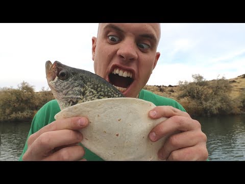 Making Crappie Tacos - Catch n' Cook Black Crappie