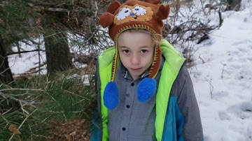 Is that a pine, spruce, or fir tree? Lessons from a nature kid