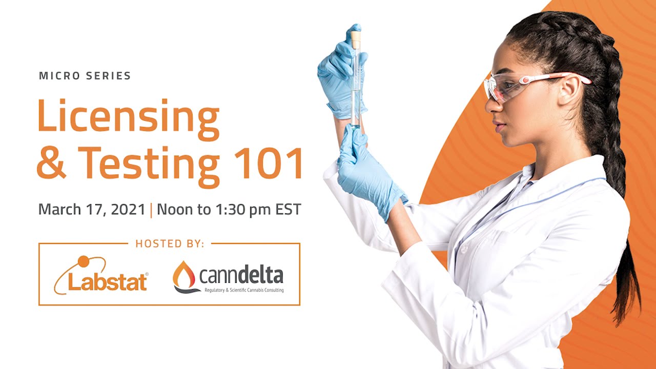 Licensing 101: Is Health Canada Unfairly Targeting Micros? For Micro Cultivators & Micro Processors