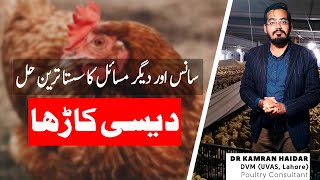 Cheap Treatment of Respiratory Issues in Chickens & Birds | Cheap Antiviral & Antibacterial Solution