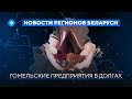 Милицейские проверки / Проблемы с ледовым дворцом/ Варенье из картошки // Новости регионов Беларуси