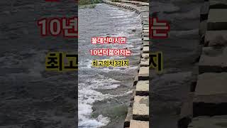현미누룽지차#검은콩차#보리차