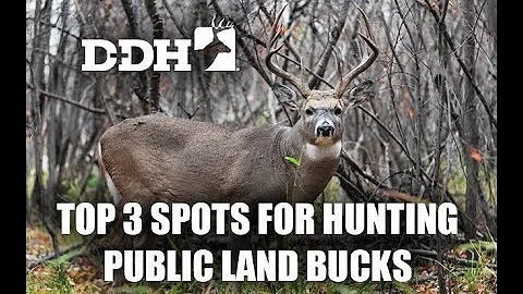 Top 3 Spots for Hunting Public Land Bucks