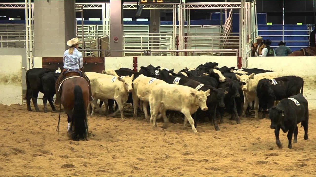 Colonels Miss Chic 2013 AQHA VRH World Championship Show Ranch Cutting