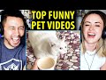 TOP FUNNY PET VIDEOS - Best of 2020 | Try Not To Laugh Challenge | Reaction!