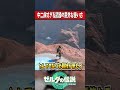 中二病すぎる武器のあまりにもかっこよすぎる使い方『ゼルダの伝説ティアーズオブザキングダム』 #shots
