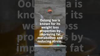 Oolong Wonder Weight Loss Tea Recipe