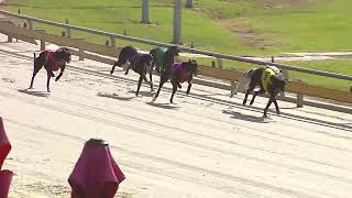 SLE WED 15 APR 26 R11