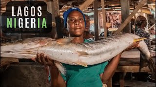 Buying Huge Fish, Shrimp and Crabs in Africa’s Biggest Floating Slum!! Seafood Factory - Episode 2