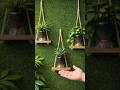 DIY Self-Watering Bottle Planter (Zero Cost!) | Smart Recycled Gardening Hack 🌱♻️ #farminglife