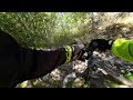 VIDEOVLOG - Coll de la Llosa a Oleta (Track Tren Groc)🚂🟡