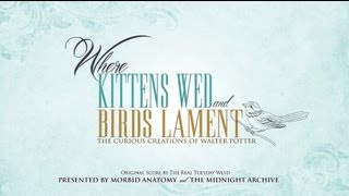 Walter Potter: Where Kittens Wed and Birds Lament - Trailer 01