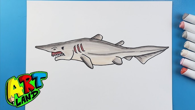 lemon shark drawing