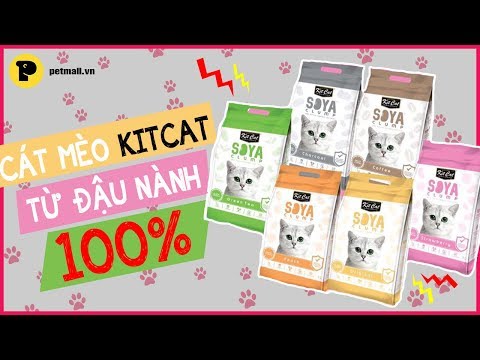 Video: Mèo Litter Thân Thiện Với Môi Trường