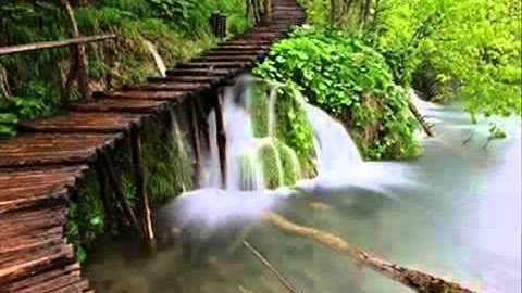 تعليم للأطفال سورة الشمس مكررة 3 مرات .. ماهر المعيقلي .