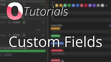 Ontime Tutorials: Custom Fields
