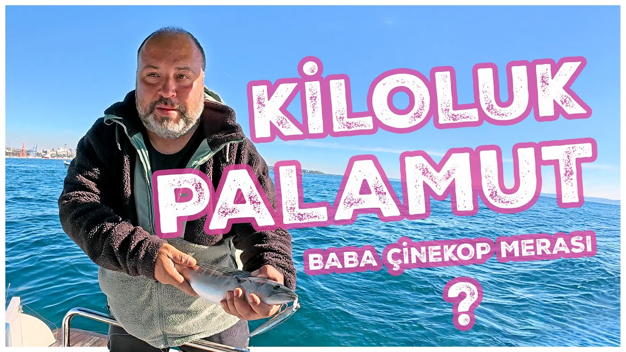 İstanbul Boğazı'nda Kiloluk Palamut