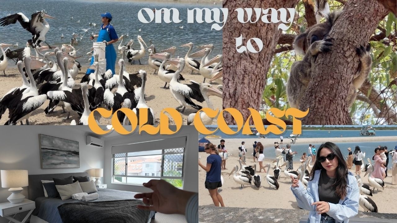 VLOG0.3| 到黃金海岸沿路景點！百年肉派店｜鵜鶘餵食🦤｜野生無尾熊🐨｜Surfers Paradise超值Airbnb開箱 🌊
