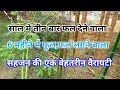 स ल म त न ब र फल द न व ल 6 मह न म फ ल फल लगन व ल सहजन क एक ब हतर न व र यट स ल म त न ब र फल द न व ल 6 मह न म फ ल फल लगन व ल सहजन क एक ब हतर न व र यट