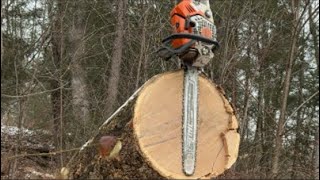 Outside with Scheib is live! ￼Sewer line logging!!!