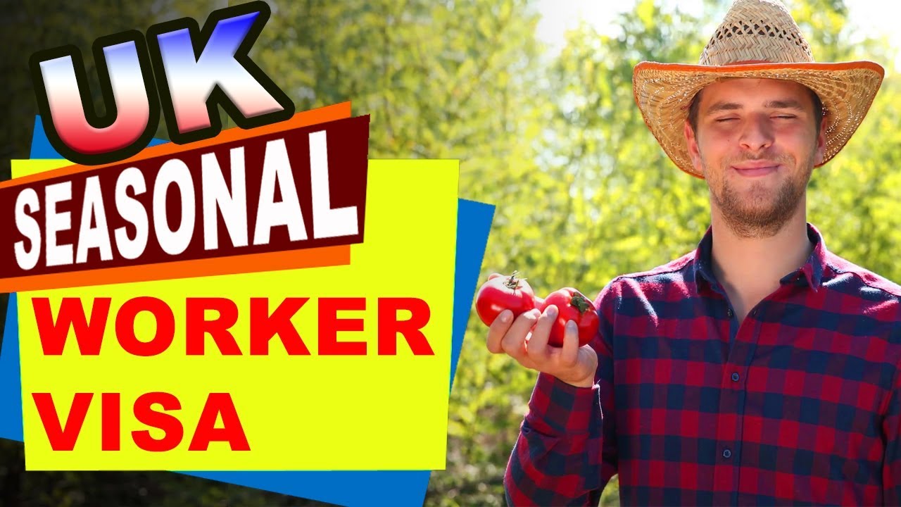UK SEASONAL WORKER VISA|UK VISA|UK IMMIGRATION|COMPLETE DETAILS|UKBA|2019 HD