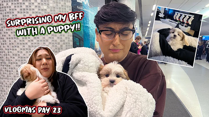 SURPRISING MY BFF WITH A PUPPY!! Vlogmas Day 23