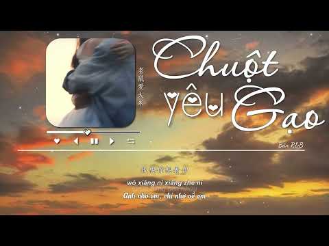 Chuột yêu gạo (Bản R&B) | 老鼠爱大米 – 音乐的入门到改行 | Vietsub + Pinyin