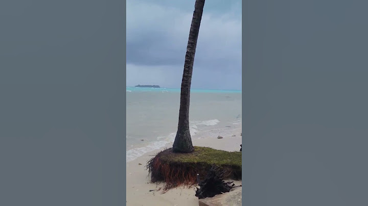 BIG WAVES DESTROYED THE BEACH #shorts #beach #typhoon #waves #foryoureels #fyp
