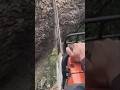 chainsawman #shorts #treecutting #chainsaw