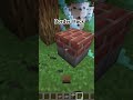 Border Hack