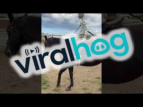 Using a Fake Skeleton to Train a Horse || ViralHog