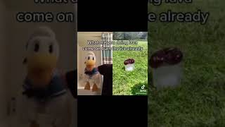 Donald Duck Reacts To Meme