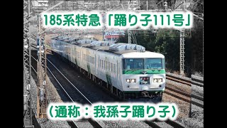 185系特急「踊り子111号」