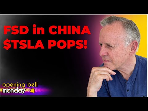 Tesla Stock Up 10% on Elon Musk FSD Success in China; OTA Spring Update