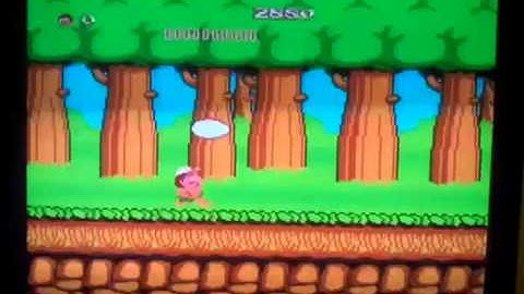 Adventure Island 1 on Terminator NES Famiclone